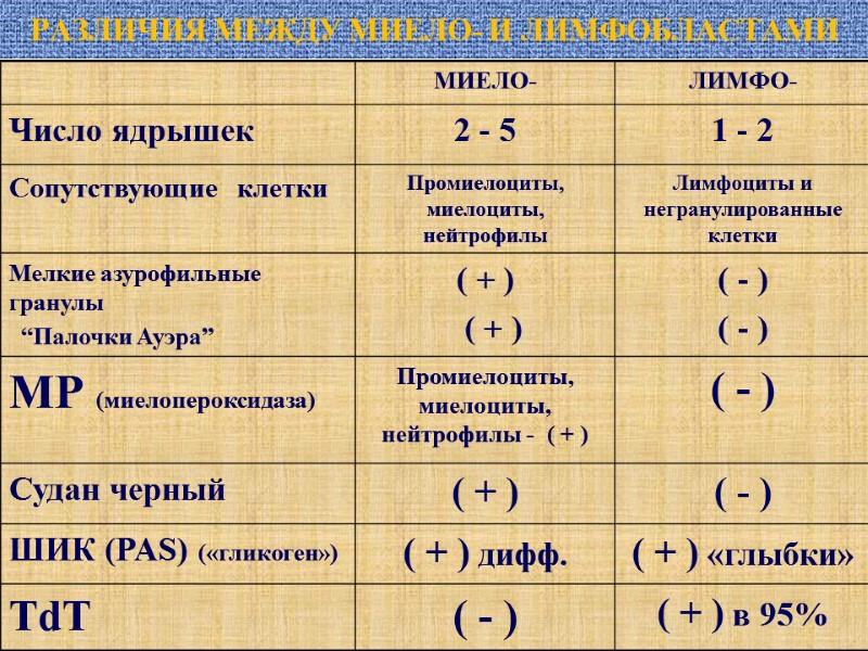 РАЗЛИЧИЯ МЕЖДУ МИЕЛО- И ЛИМФОБЛАСТАМИ